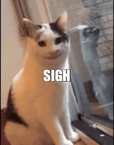 1000100865.gif