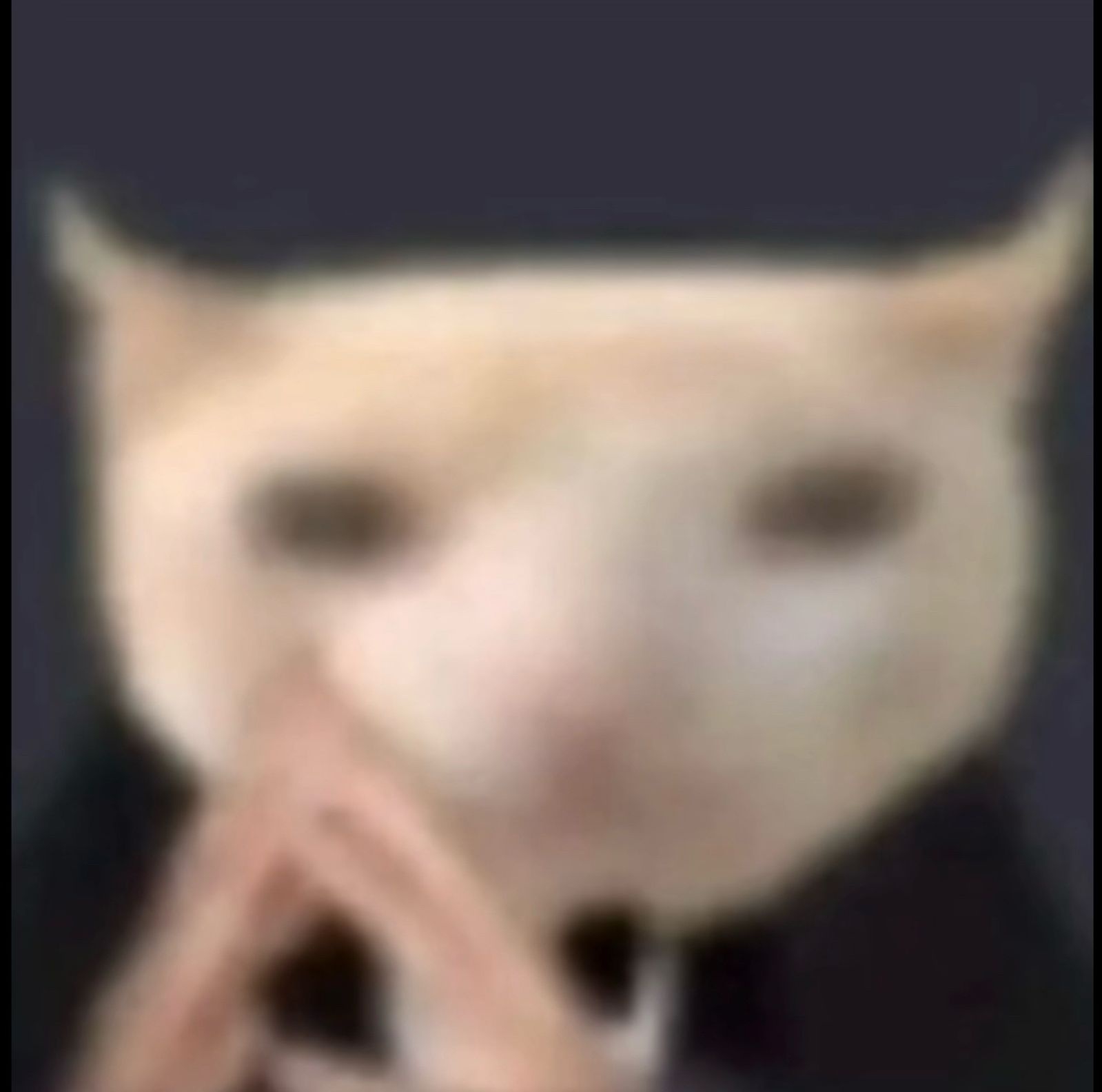 1000105286.jpg