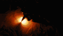 1000171010.gif