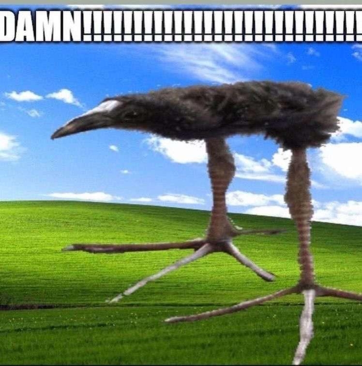 1000261108.jpg
