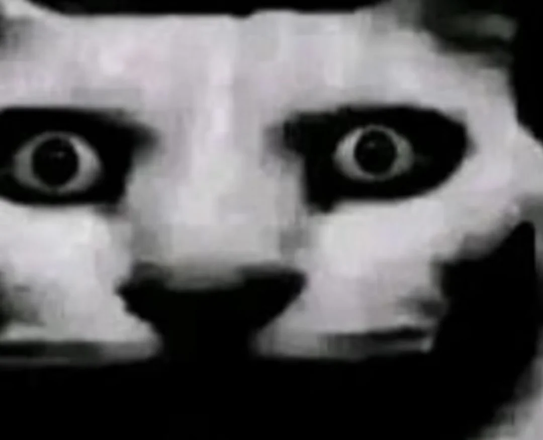 1783018333845.png