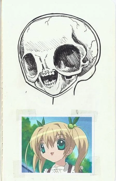1783019886662.png