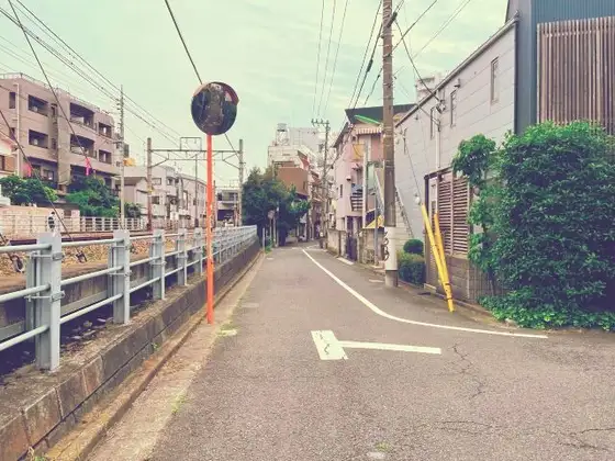 1783528704595.png