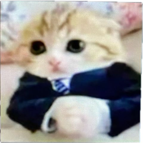 1790464748342.png