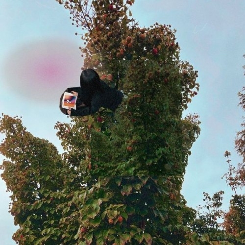 387066.md.jpg