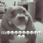 459336.gif