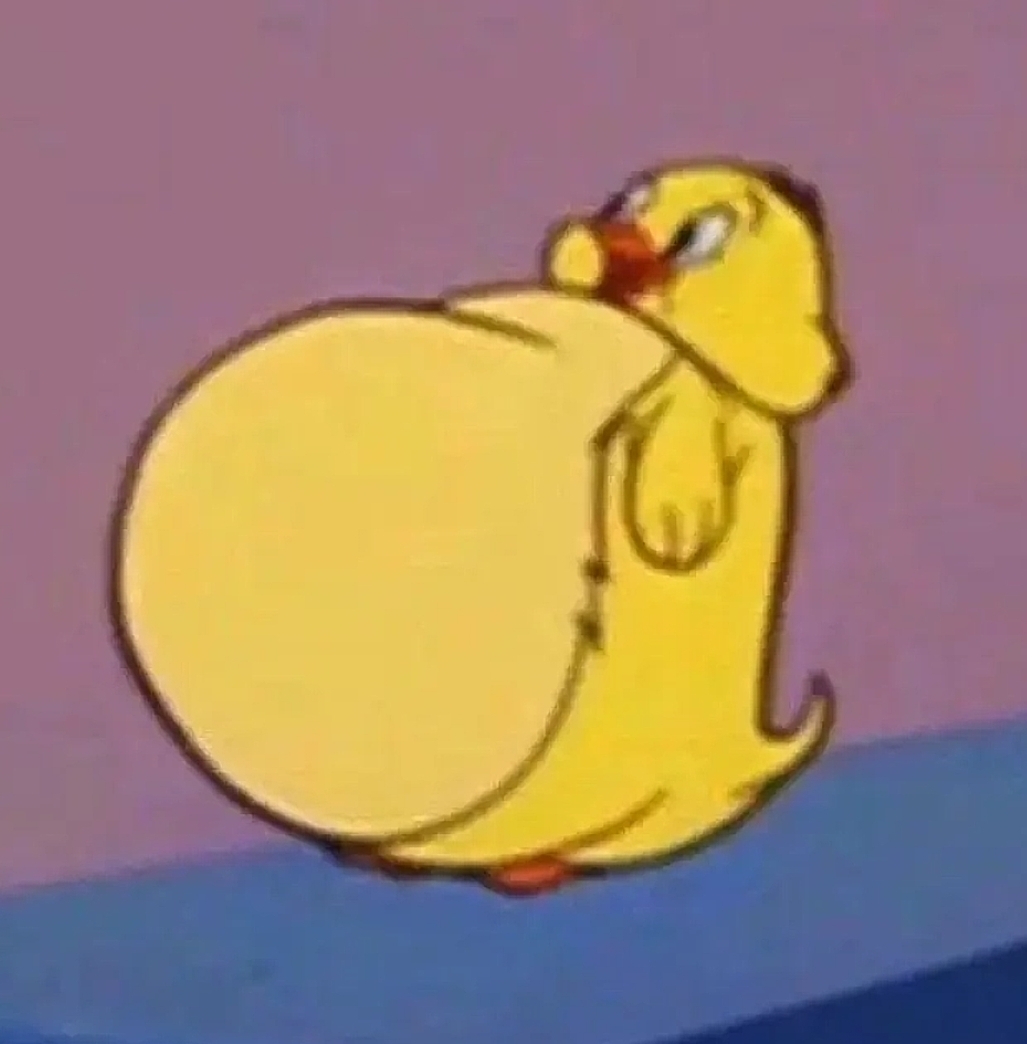 72337.jpg