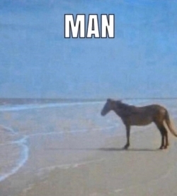 aman-horse-meme-2.jpg