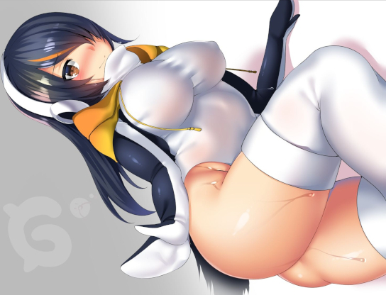 cover.jpg