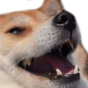 Much NSFW.webp
