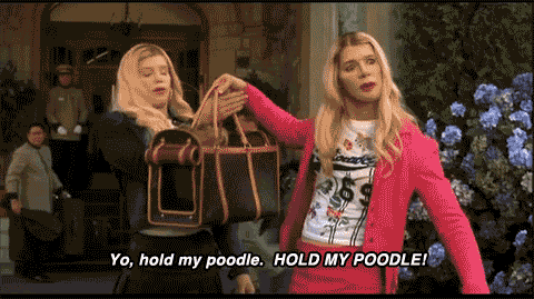 tumblr_n474c1xGic1tyggfco1_500.gif